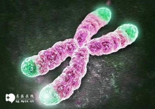 AMH值0.28和怀孕机会的关联，掌握月经调理的关键点！